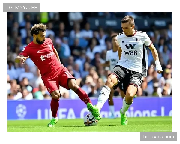 帕利尼亚在葡萄牙国家队的主力后腰地位解析