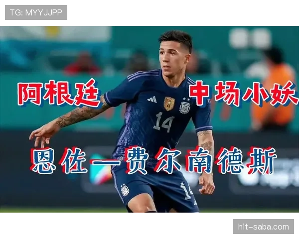 恩佐世界杯表现:新秀成色与实战价值如何衡量? 恩佐世界杯表现:新秀成色与实战价值如何衡量?